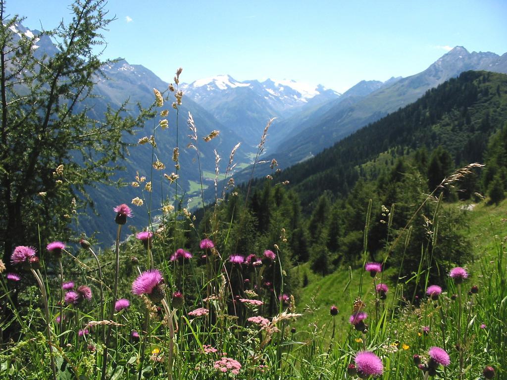 Alpenpension Pfurtscheller Neustift im Stubaital Exterior foto