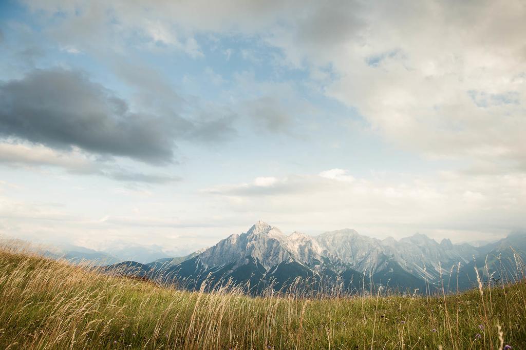 Alpenpension Pfurtscheller Neustift im Stubaital Exterior foto